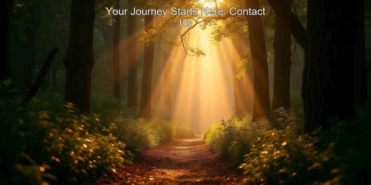 Your Journey Starts Here: Contact Us